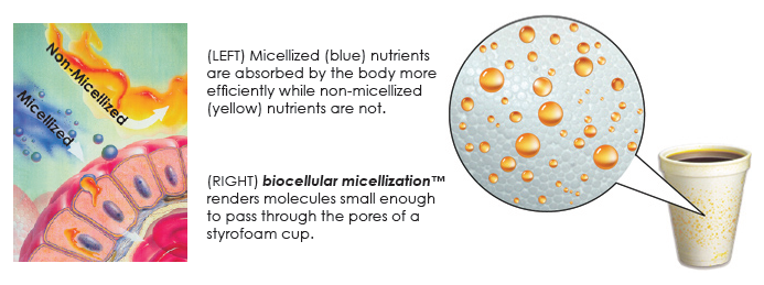 biocellular micellization process