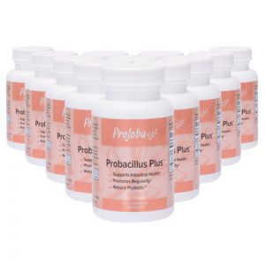 Probacillus Plus™ - 60 capsules (12 Pack)
