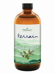 Terrain Holy Basil